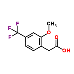 2-Methoxy-4-(trifluoromethyl)phenylacetic acid Structure