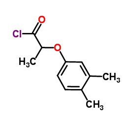 2-(3,4-Dimethylphenoxy)propanoyl chloride Structure