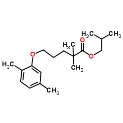 2,2-二甲基-5-(2,5-二甲苯氧基)戊酸异丁酯图片