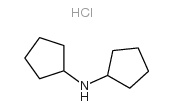 二环戊胺盐酸盐结构式