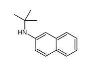 N-tert-butylnaphthalen-2-amine Structure