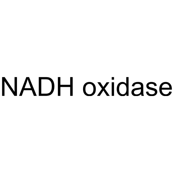 NADH OXIDASE Structure