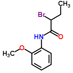 2-Bromo-N-(2-methoxyphenyl)butanamide Structure