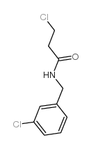 3-chloro-N-[(3-chlorophenyl)methyl]propanamide Structure