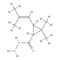 2,2-二甲基-3-(2-甲基-1-丙烯基)环丙烷甲酰肼结构式