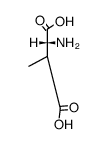 -Methylaspartat Structure