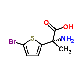 (S)-2-氨基-3-(5-溴噻吩-2-基)丙酸结构式