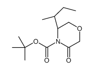 4-t-叔丁氧羰基-(5S)-5-[(1S)-甲基丙基]-吗啉-3-酮结构式