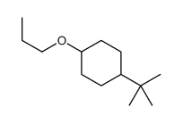 1-tert-butyl-4-propoxycyclohexane Structure