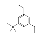 1-Isopropyl-3-tert-butyl-5-methylbenzene结构式