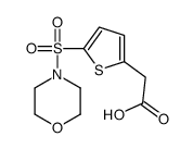 2-(5-(吗啉磺酰基)噻吩-2-基)乙酸结构式