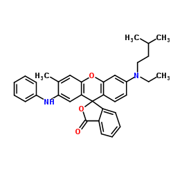 3-N-异戊基-N-乙氨基-6-甲基-7-苯氨基荧烷图片