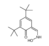 2,4-ditert-butyl-6-[(hydroxyamino)methylidene]cyclohexa-2,4-dien-1-one结构式