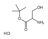 Serine, 1,1-dimethylethyl ester, hydrochloride Structure