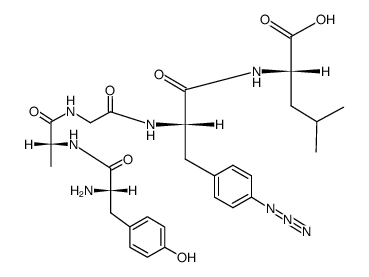 Tyr-D-Ala-Gly-(pN3)Phe-Leu Structure