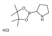 H-Boroproline Pinacol Hydrochloride Structure