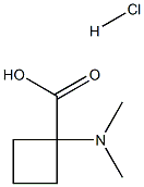 1-(二甲氨基)环丁烷-1-羧酸盐结构式