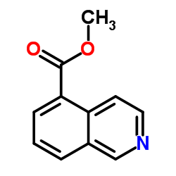 5-异喹啉甲酸甲酯结构式