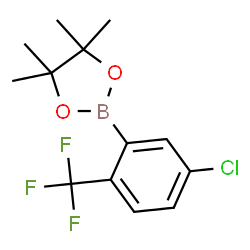 5-Chloro-2-(trifluoromethyl)phenylboronic acid pinacol ester结构式