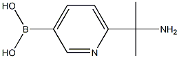 (6-(2-氨基丙-2-基)吡啶-3-基)硼酸结构式