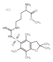 Nomega-(2,2,4,6,7-五甲基二氢苯并呋喃-5-磺酰基)-L-精氨酸甲酯盐酸盐图片