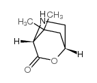 2-Oxa-5-azabicyclo[2.2.2]octan-3-one,8,8-dimethyl-,(1R,4R)-(9CI)结构式