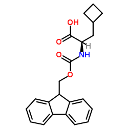 (R)-2-(((9H-fluoren-9-yl)methoxy)carbonylamino)-3-cyclobutyl structure
