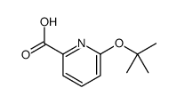 2-Pyridinecarboxylicacid,6-(1,1-dimethylethoxy)-(9CI) Structure
