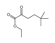 ethyl 5,5-dimethyl-2-oxohexanoate结构式