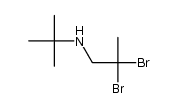 N-tert-butyl-(2,2-dibromopropyl)amine结构式