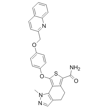 TD-198946 structure