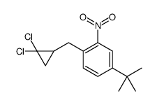 4-tert-butyl-1-[(2,2-dichlorocyclopropyl)methyl]-2-nitrobenzene Structure