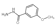 3-甲氧基苯-1-碳酰肼结构式