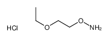 O-(2-ethoxy)ethylhydroxylamine hydrochloride Structure