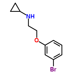 N-[2-(3-Bromophenoxy)ethyl]cyclopropanamine结构式