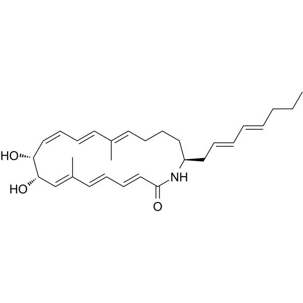 2698333-36-5 structure