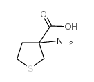3-氨基四氢噻吩-3-羧酸结构式