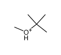 protonated tert-butyl methyl ether Structure