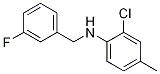 2-氯-N-(3-氟苄基)-4-甲基苯胺图片