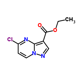 5-氯吡唑并[1,5-A]嘧啶-3-甲酸乙酯结构式