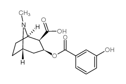 m-hydroxybenzoylecgonine Structure