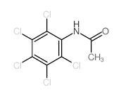 Acetamide,N-(2,3,4,5,6-pentachlorophenyl)- Structure