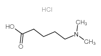 5-(二甲氨基)戊酸盐酸盐结构式