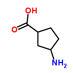 3-氨基环戊烷甲酸结构式