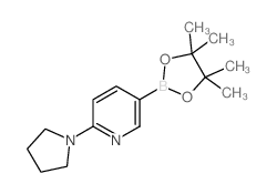 2-(pyrrolidin-1-yl)-5-(4,4,5,5-tetramethyl-1,3,2-dioxaborolan-2-yl)pyridine structure