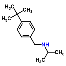 N-[4-(2-Methyl-2-propanyl)benzyl]-2-propanamine结构式