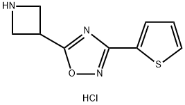 5-氮杂环丁烷-3-基-3-(2-噻吩基)-1,2,4-噁二唑盐酸盐结构式