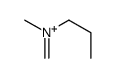 methyl-methylidene-propylazanium Structure