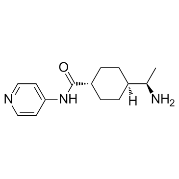 Y-27632二盐酸盐结构式