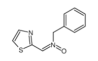N-benzyl-1-(1,3-thiazol-2-yl)methanimine oxide结构式
